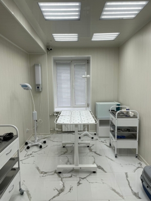 Открытие клиники в Струнино